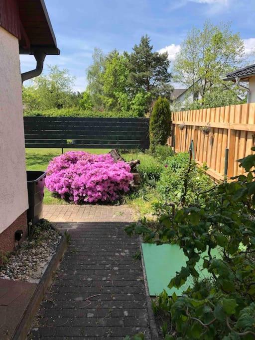 Gemuetlicher Bungalow In Cottbus - Sielow المظهر الخارجي الصورة
